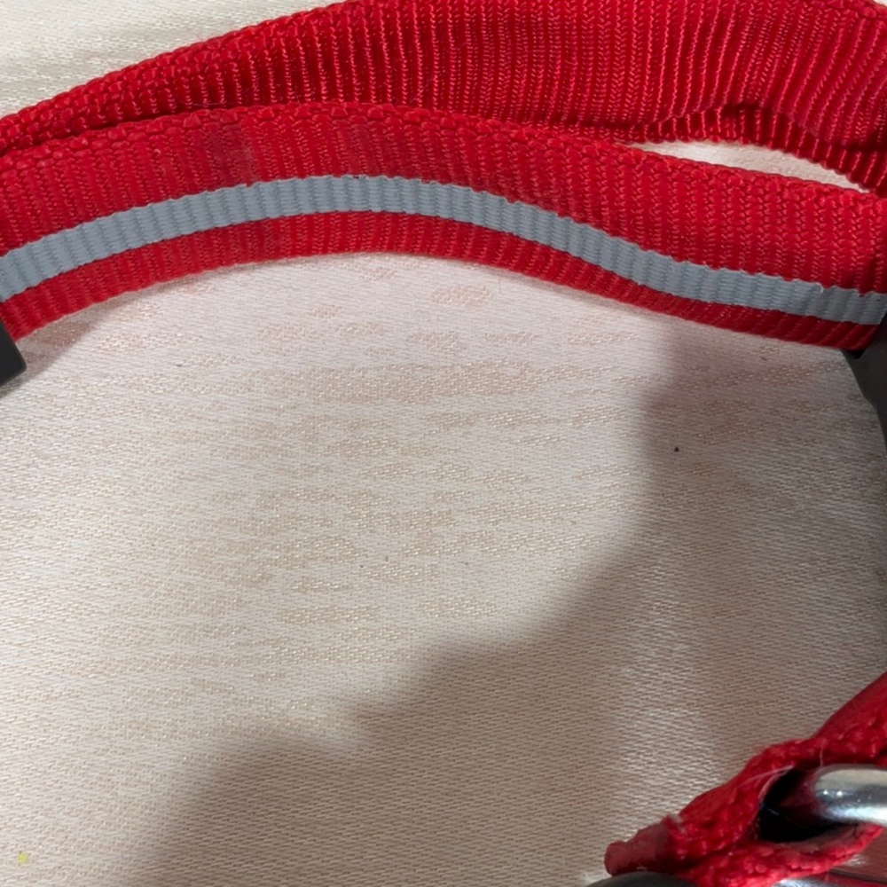 Nite Ize Nite Dawg Light Up Dog Collar - Picture 3 of 5